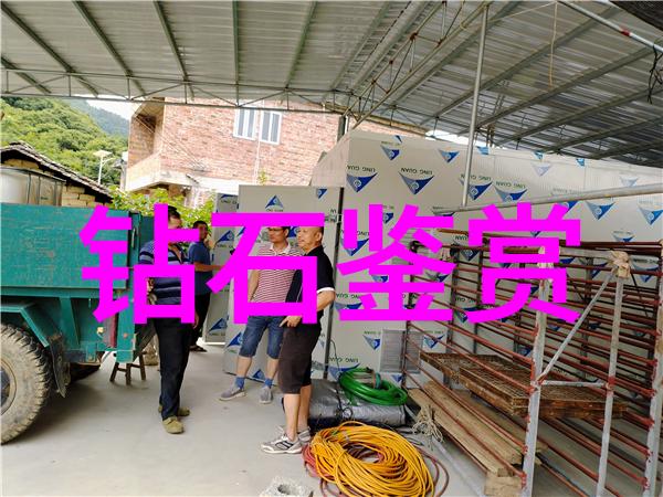 中医药学的智慧与魅力探索