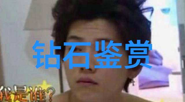 探究中华传统文化的多元价值从优质到劣质的考量与界定