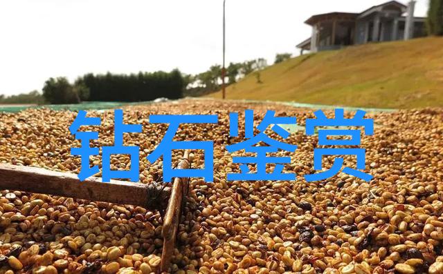 学什么专业好来听听这位未来巨星的高招