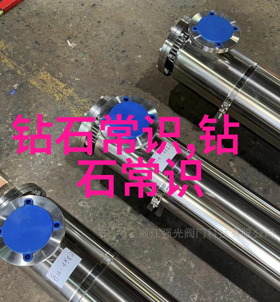 探索对外汉语专业的魅力跨文化桥梁与语言艺术的融合