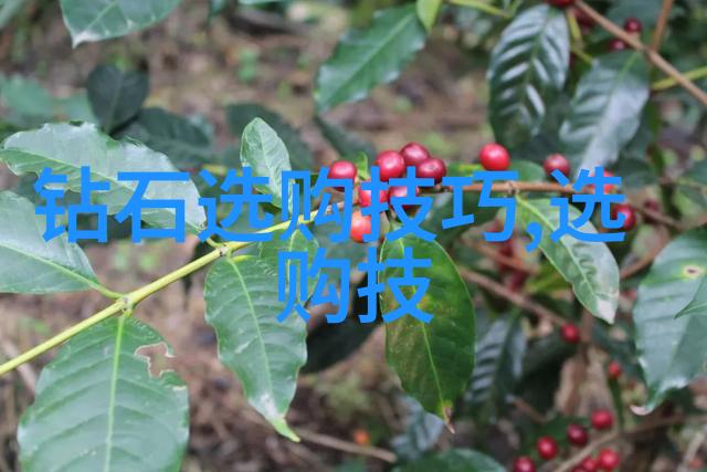 东陵玉的秘密为什么投资者不建议购买