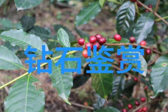 在虚拟罗马斗兽场中三维建模唤醒BZero1的灵感之源爱情与激战交织成一幅令人惊叹的画面宝格丽的眼神闪
