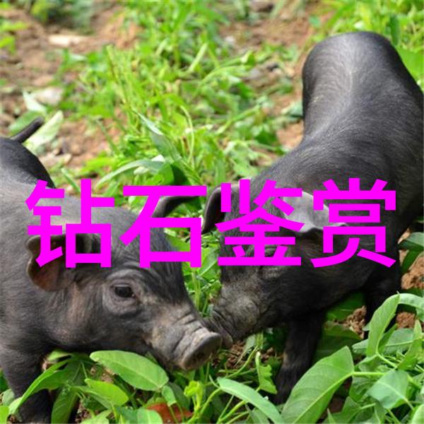 金属锻造工艺 - 精密锻造重塑金属的未来