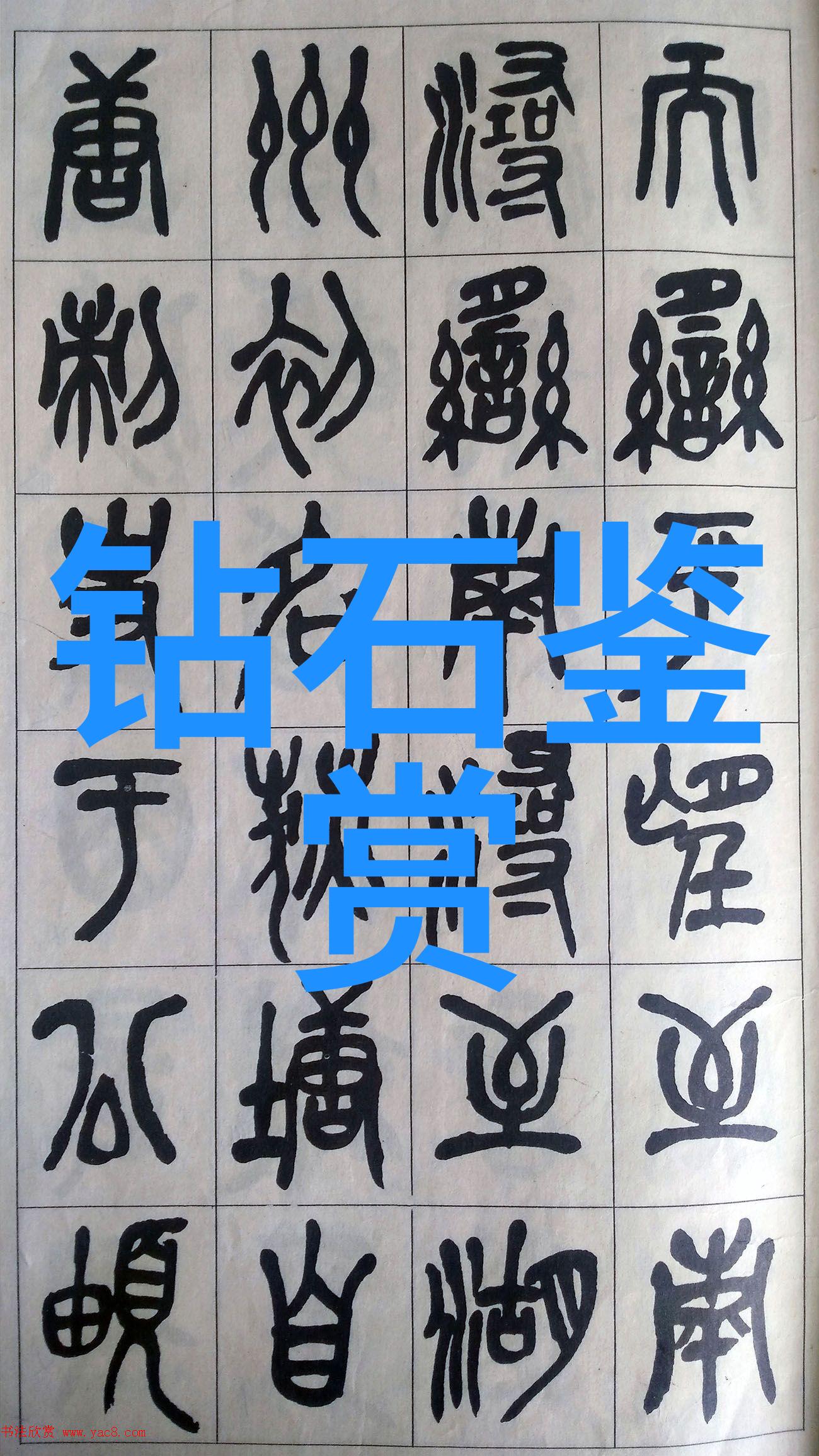 探索韩国野花之美免费视频资源大集合