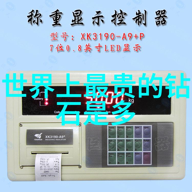 小熊的星光梦游