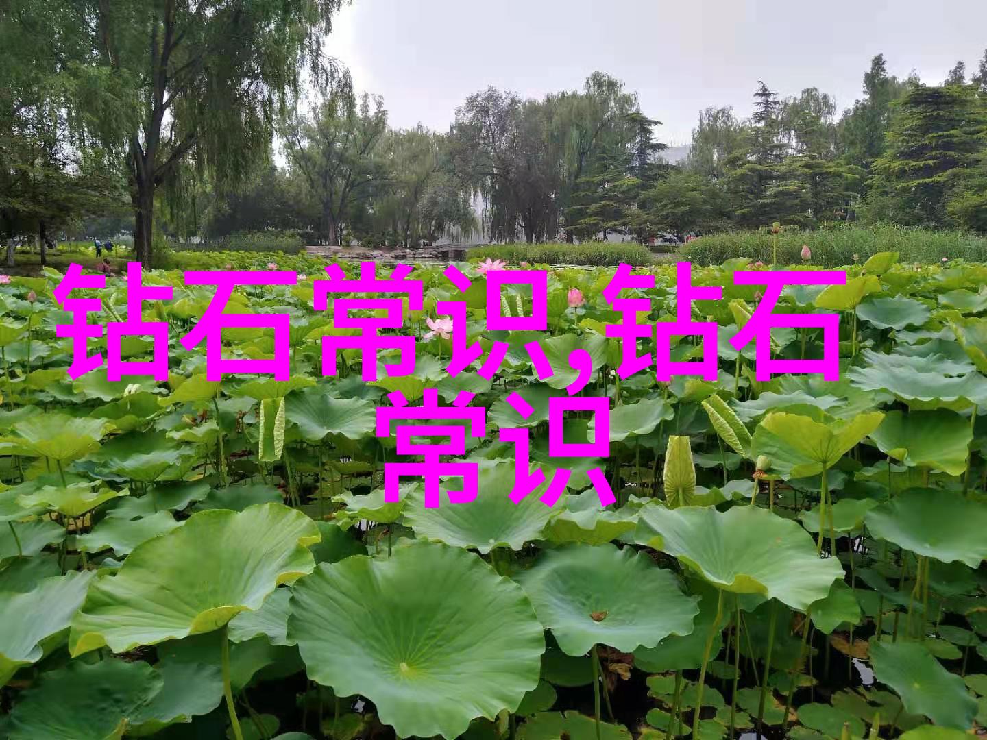 守护传统魂探索我国40个非物质文化遗产的魅力与挑战