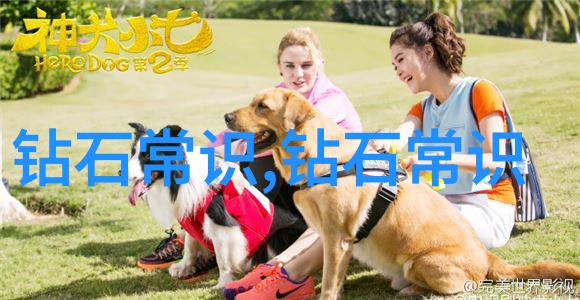 古代传说-大禹治水凤凰涌波与九州平安