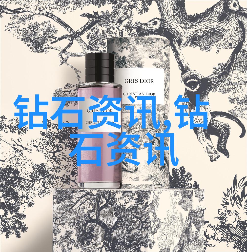 穿越边界的梦想解读Janpense Visa在现代旅行中的角色