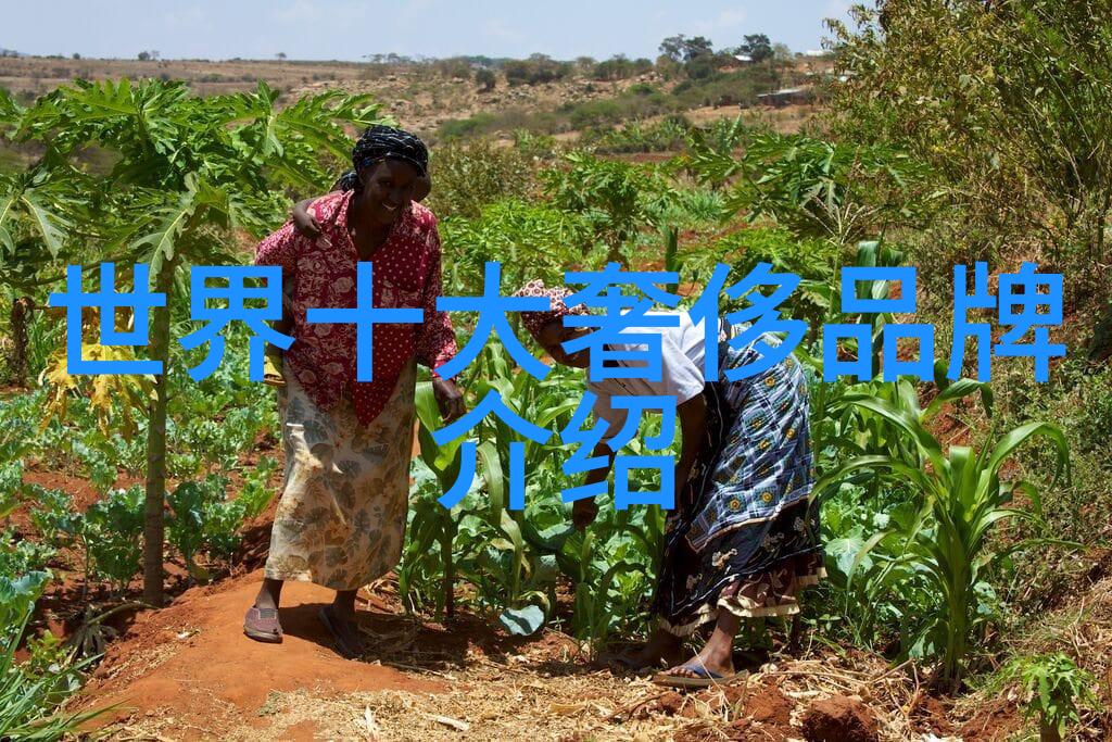 钻石选购技巧 - 精准识别揭秘如何挑选出你的梦想钻石