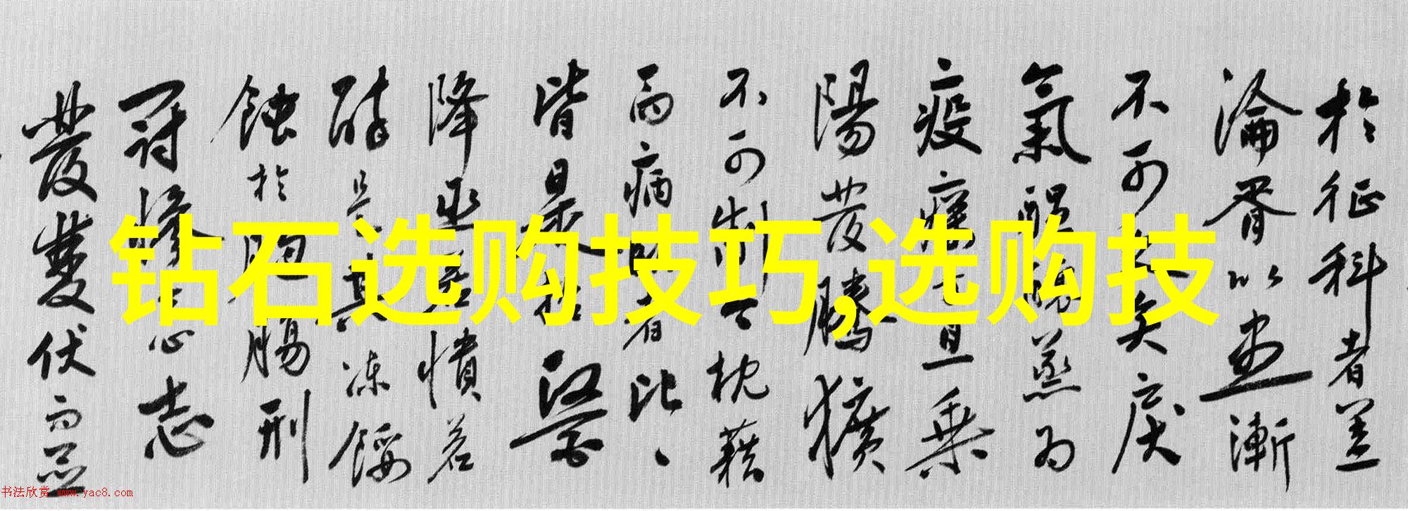 常见的首饰有哪些-珠宝世界揭秘时尚界的必备装饰