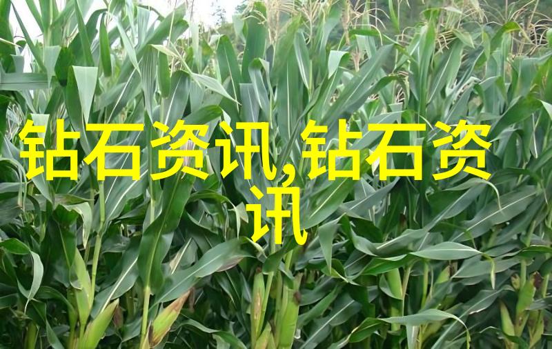 探索地表之谜深入浅出勘查技术与工程的奥秘