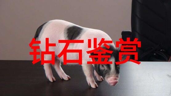 工艺的艺术从工具到技巧从汗水到创意