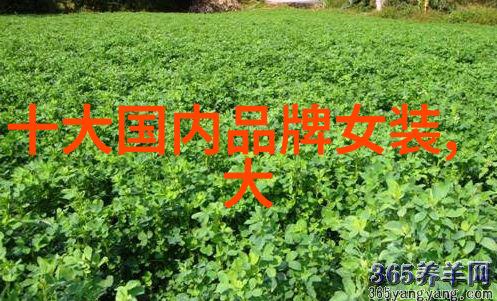 室内艺术设计亲手织就温馨家居故事