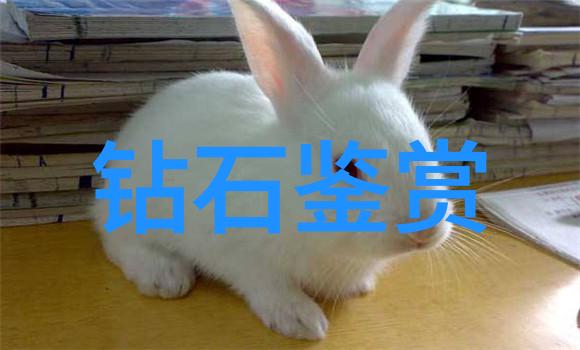 一般设计珠宝需要什么书我要学做珠宝就得买这些书