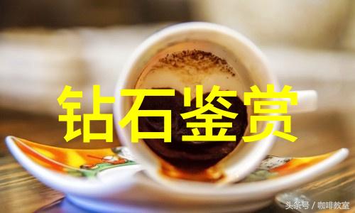 宫廷斗争中的嫡妃权力与荣耀的象征