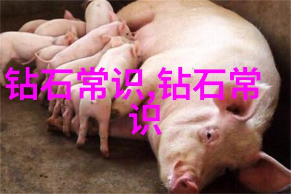 红钻燃烧的光芒与沉默的重量