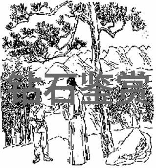 中国钻石之冠福建江西和广东的闪耀星光