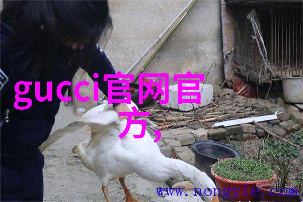 工业设计作品创意与实用性之交融