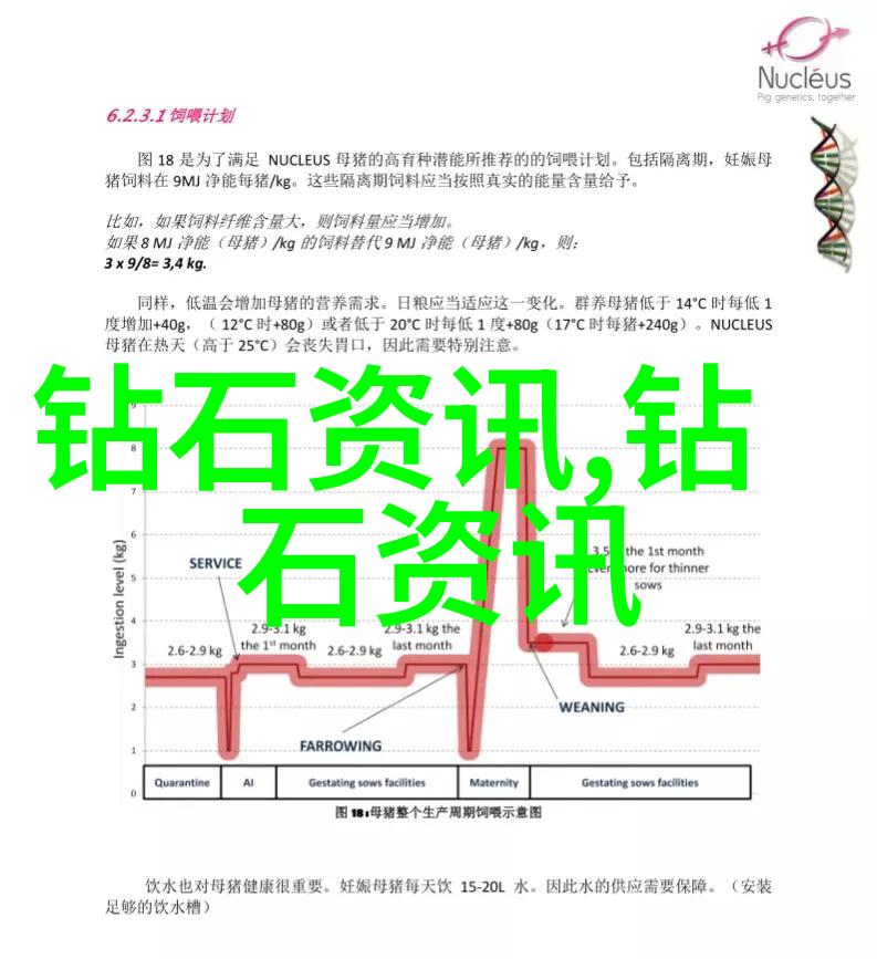 探索中华民族的精神家园深入理解中国文化的丰富内涵与魅力