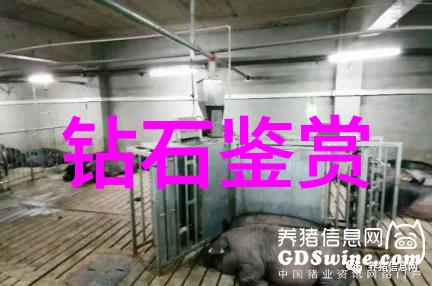 凤舞九天龙飞海天冷门中国民间乐器
