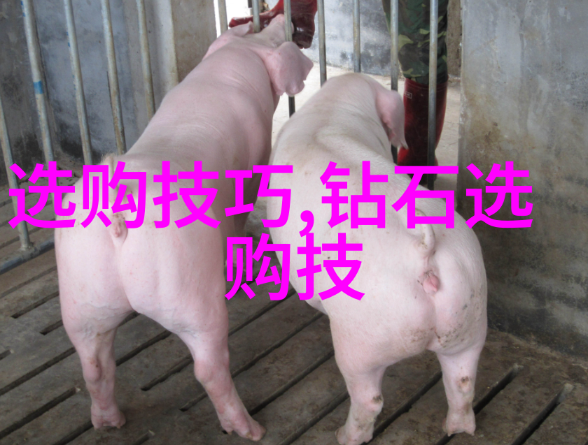国际标准与本地实际跨国项目管理技巧分享
