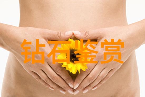 宠物美容师创造无缝的爱与美丽