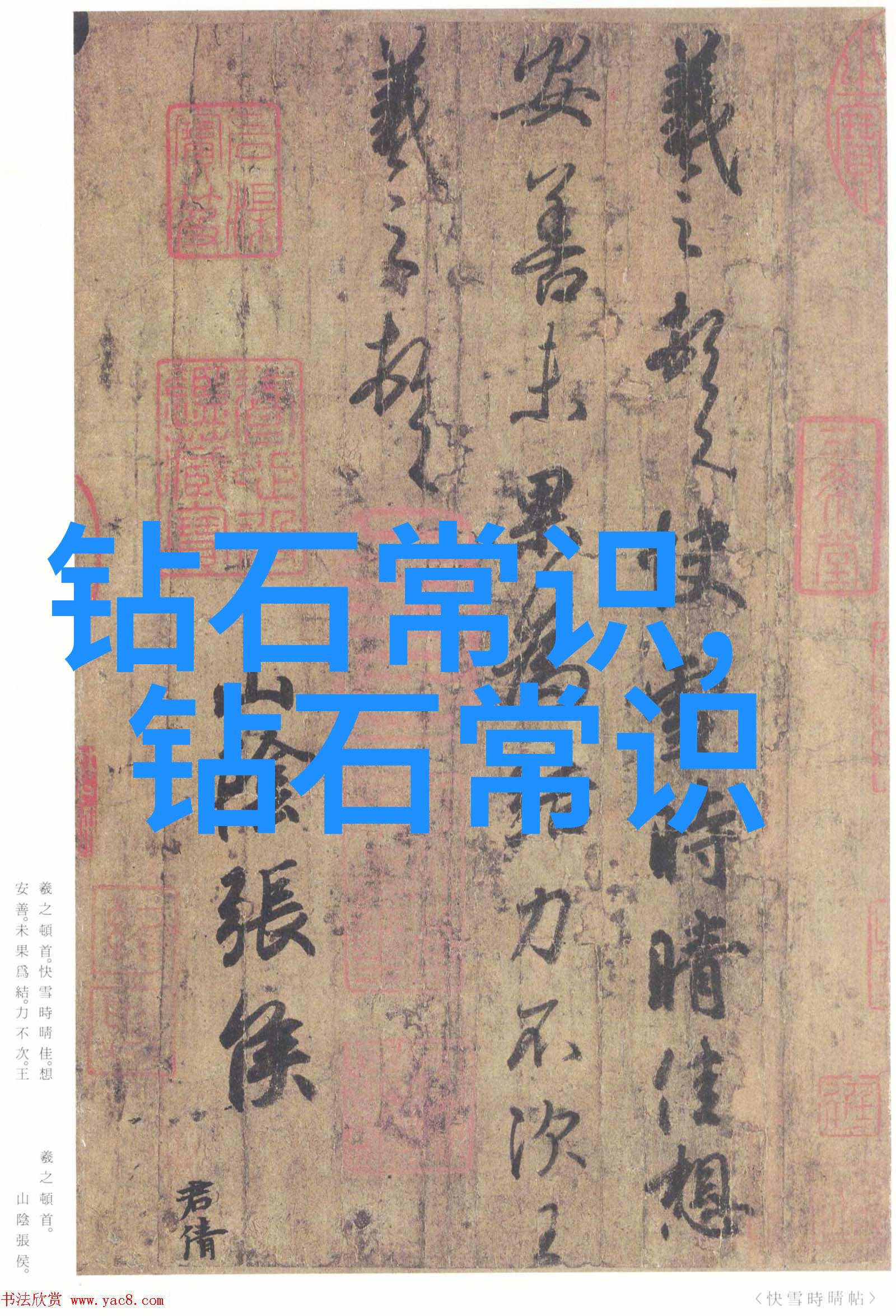 宝诗龙龙的编织之歌