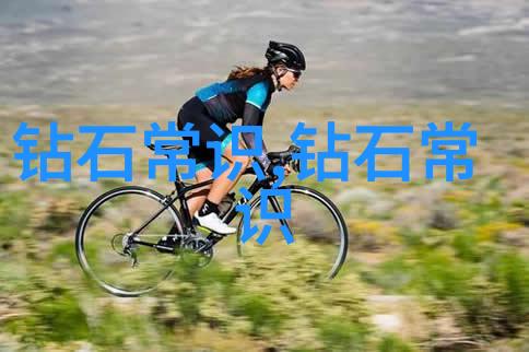 中国传统文化十大魅力我眼中的中国十大传统文化之美