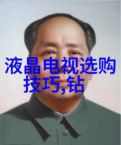 音响魅力与语言魅力探索播音与主持艺术的奥秘