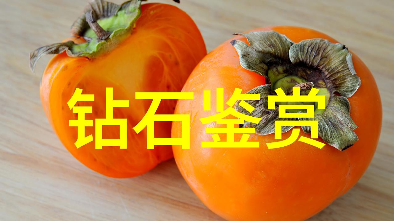 工艺美术专业绘彩未来技艺传承与创意融合
