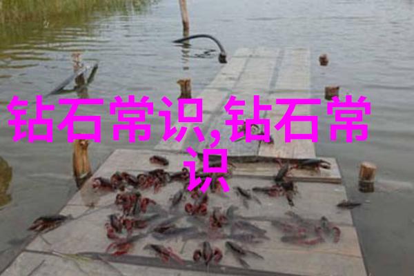 宁波大学学术论坛探索海岸城市的可持续发展战略