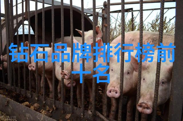 珠光璀璨的足迹追踪历史上最大的蓝色和红色钻戒