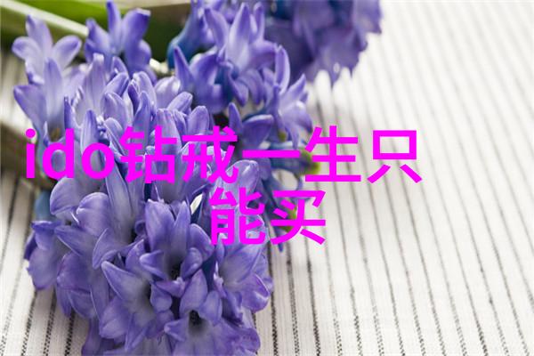 银光璀璨的宝庆盛世探秘古都银楼的辉煌往事
