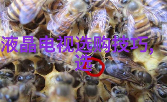 翡翠原石的光彩与韵味探秘十大场口特征