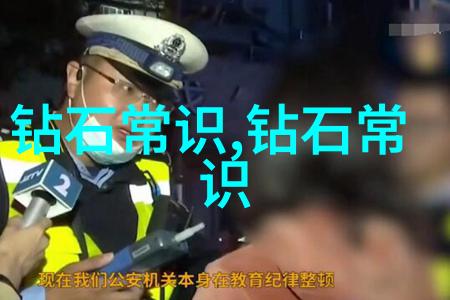 市政工程技术城市基础设施建设道路交通管理绿化景观设计