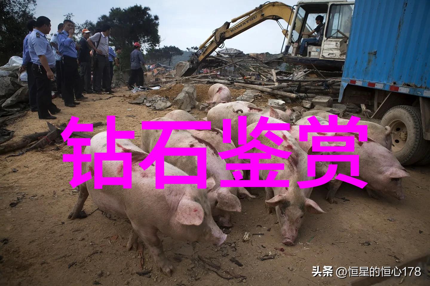 玉雕艺术精妙纹理与古典韵味的传承