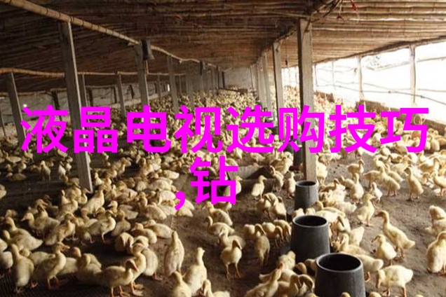 国内好的珠宝设计培训班我要告诉你这里的课程超级实用