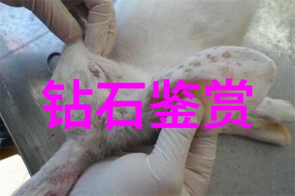 订单潮汐铸件加工厂的繁忙时刻
