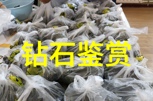 中国文化特征的理解我眼中的这片古老而又生动的文化大地