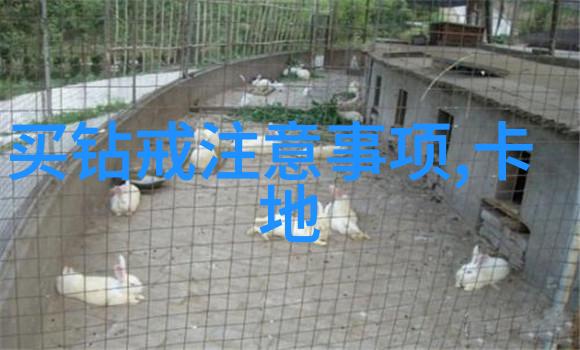 深厚的文化根基探索中国传统文化的魅力与价值