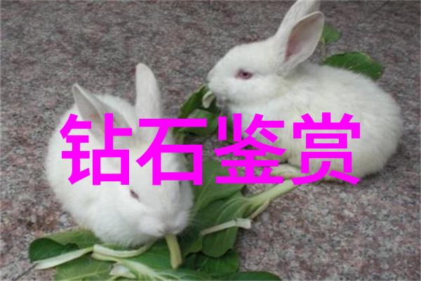 工艺制作手指上的魔法与机器的歌声