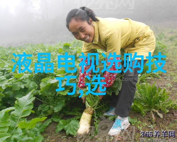 文化的含义和三个层次我眼中的文化从生活习惯到精神追求