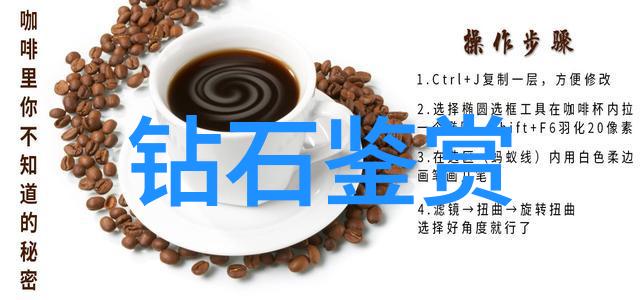高贵的宝藏探秘价值上亿的玉石之谜