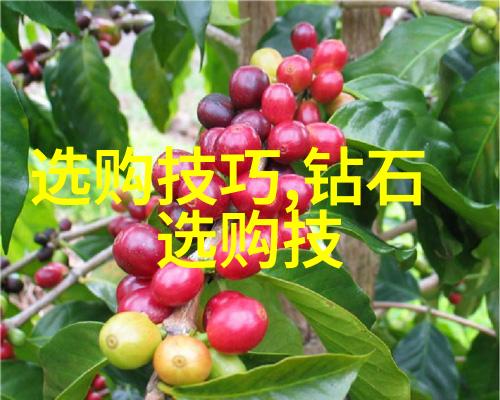 创意无限现代封面设计的艺术探索