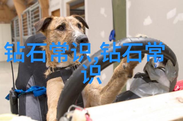 星辰之旅摘星2的宇宙探索
