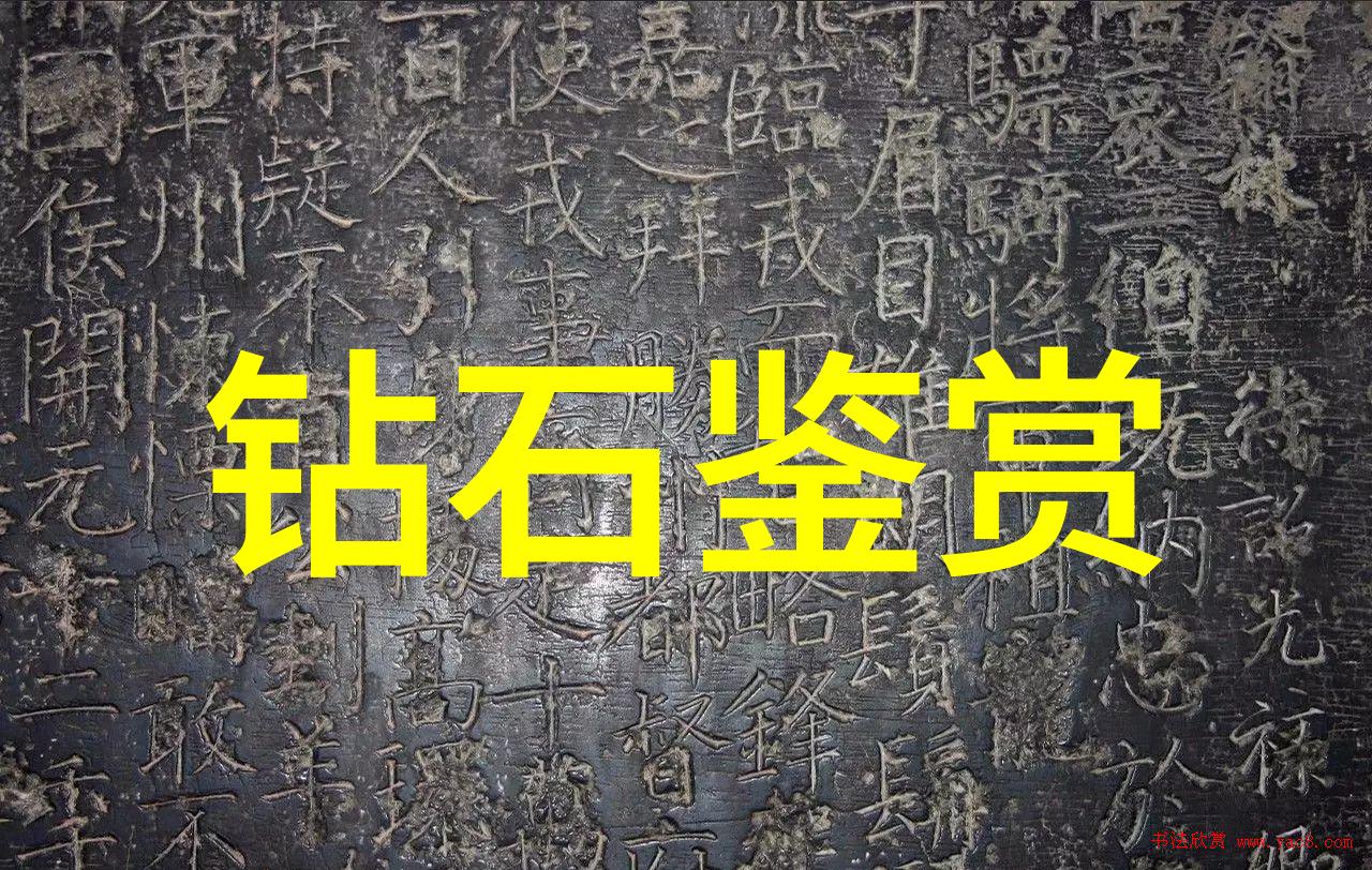 笔尖流出的故事400字我在墨水里寻找自己的影子