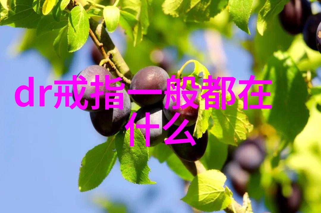 企业如何制定高效的生产工艺流程
