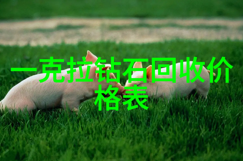 从入门到专家一般设计珠宝所需的关键书籍指南