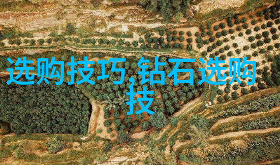 工艺是干什么的-工艺之美探索创造与实用之间的辉煌篇章