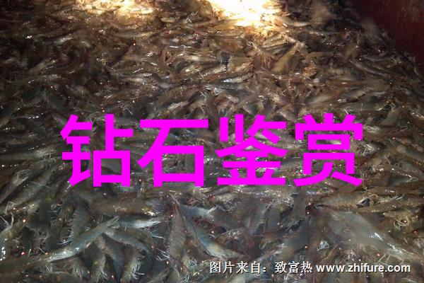 探秘世界十大璀璨珠宝从古至今的奢华与光彩